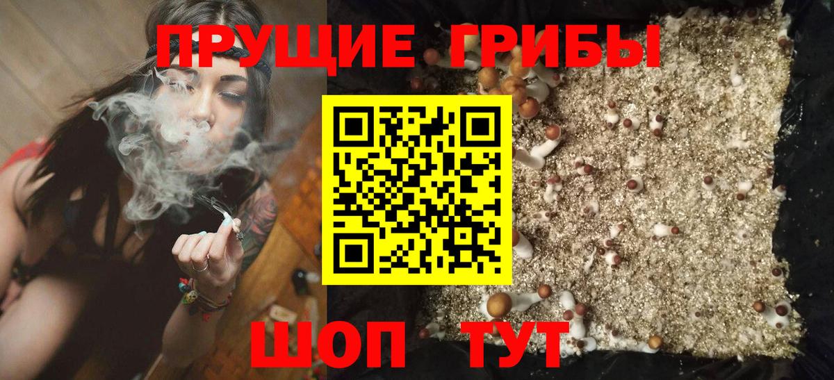 Семёнов  Псилоцибиновые грибы прущие грибы  Вход с VPN  Галлюциногенные грибы Cubensis 
