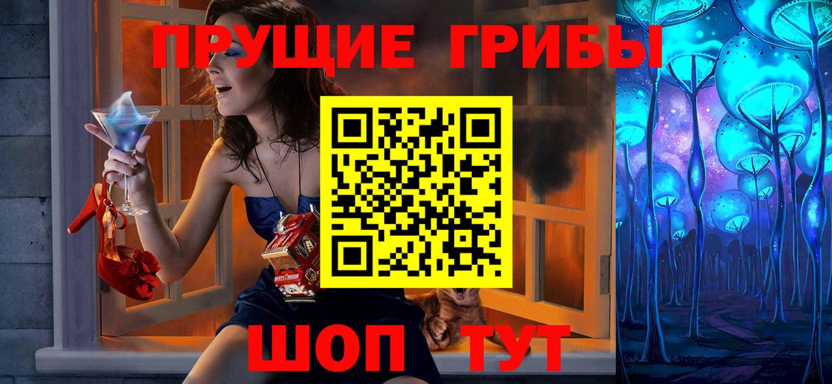 Псилоцибиновые грибы Psilocybine cubensis Семёнов
